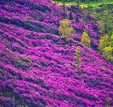 ополнительное фото тура 