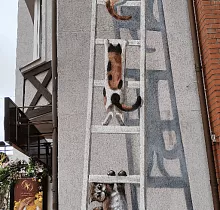 ополнительное фото тура 