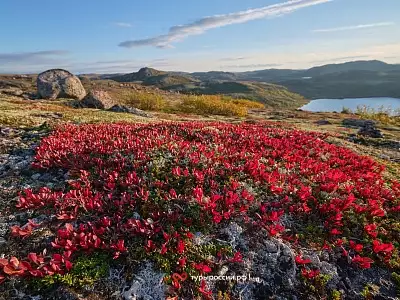 Осень в Териберке