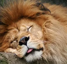 Фото дня 3 тура Гастротур «Вкус Тихого океана»