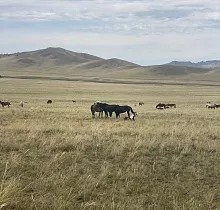 ополнительное фото тура 