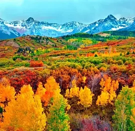 Тур ЗОЛОТОЙ АЛТАЙ + ШАМАН