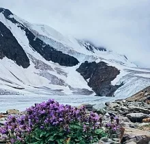 ополнительное фото тура 