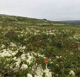 Тур Поход от Териберки к губе Опасова - необитаемой бухте на берегу океана!
