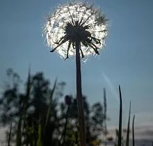 ополнительное фото тура 