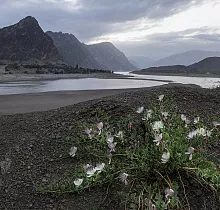 ополнительное фото тура 