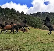 ополнительное фото тура 