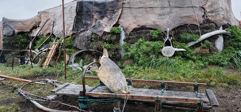 Яранга береговых чукчей. Видео