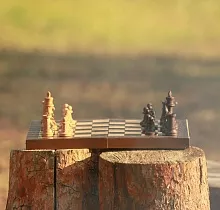 ополнительное фото тура 