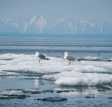 ополнительное фото тура 