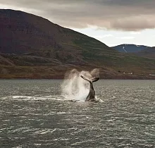 ополнительное фото тура 