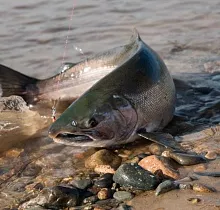 ополнительное фото тура 