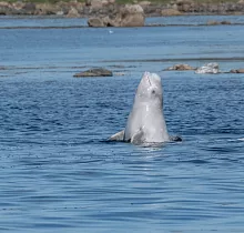 ополнительное фото тура 