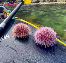 ополнительное фото тура 