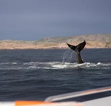 ополнительное фото тура 