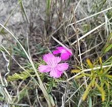 ополнительное фото тура 