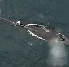 Тур Национальный парк «Берингия»