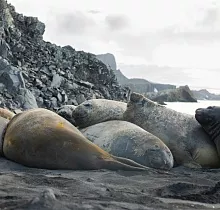 ополнительное фото тура 