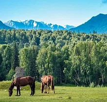ополнительное фото тура 