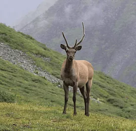 Тур ШУМАК: ПУТЬ К ЦЕЛЕБНЫМ ИСТОЧНИКАМ