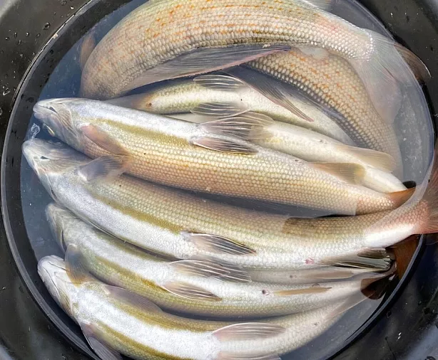 Изображение статьи Магадан: экспедиция на Хету Туры России