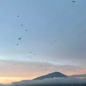 Фото отзыва