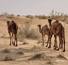 ополнительное фото тура 