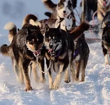 ополнительное фото тура 