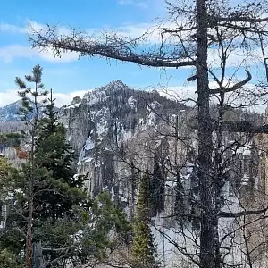 Фото отзыва