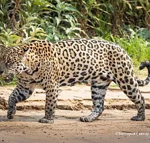 ополнительное фото тура 