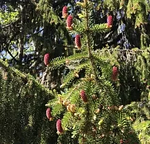 ополнительное фото тура 