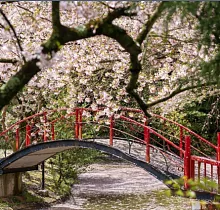 ополнительное фото тура 