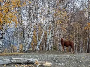 Осень на Алтае