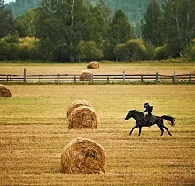 ополнительное фото тура 