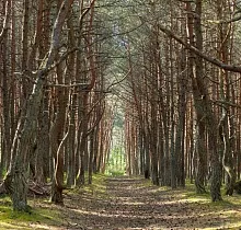 ополнительное фото тура 