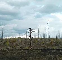 ополнительное фото тура 