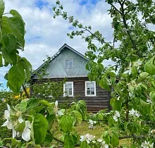 ополнительное фото тура 