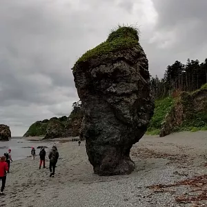 Фото отзыва