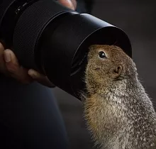 ополнительное фото тура 