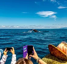 ополнительное фото тура 