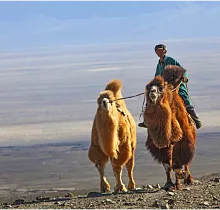 ополнительное фото тура 