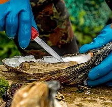 Фото дня 14 тура Сахалин, Итуруп, Шикотан и Кунашир с вулканом Тятя