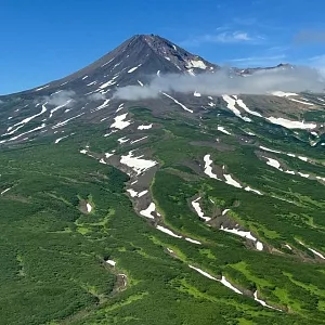 Фото отзыва