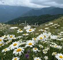 ополнительное фото тура 