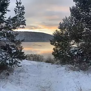 Фото отзыва