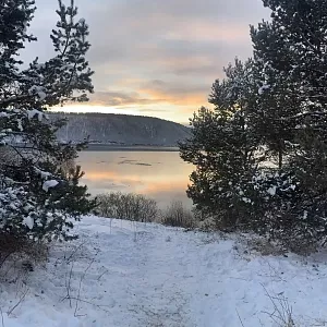 Фото отзыва