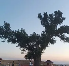 ополнительное фото тура 