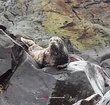 ополнительное фото тура 