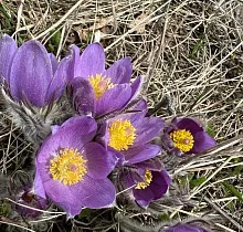 ополнительное фото тура 