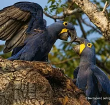 ополнительное фото тура 